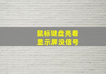 鼠标键盘亮着 显示屏没信号